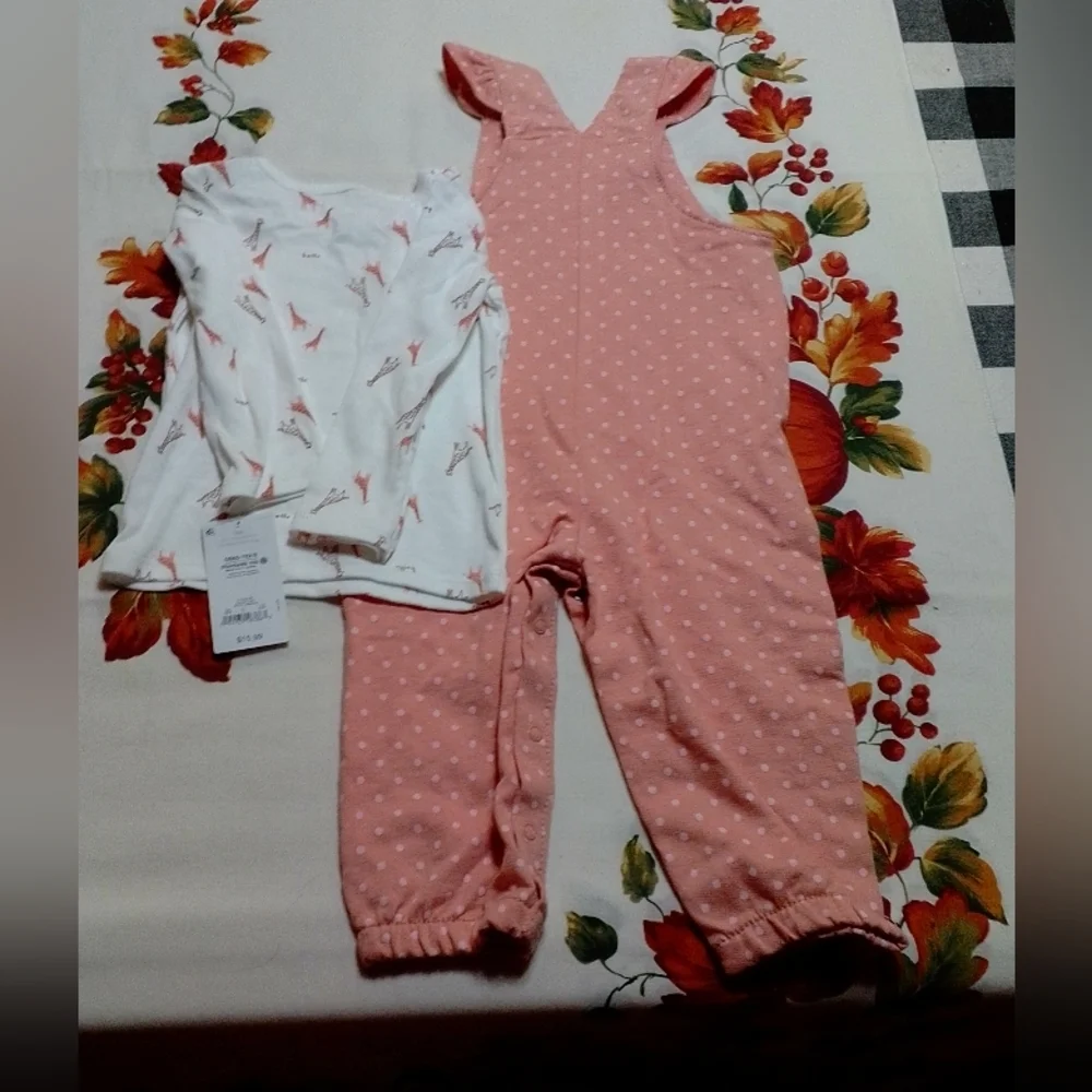 NWT Carter's overalls and matching shirt set